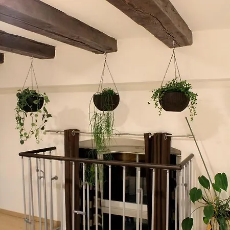 Sweet Getaway Loft - New, Central&parking Appartement Ljubljana